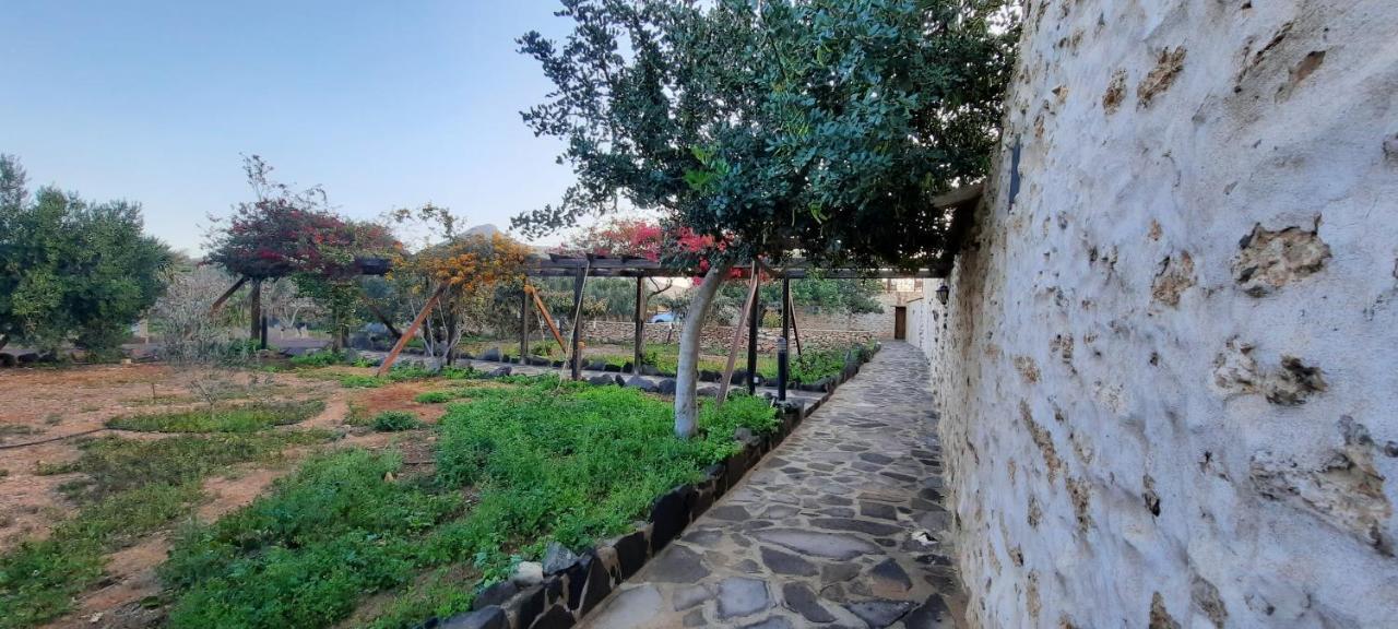 Agroturismo La Gayria Tiscamanita Exterior photo